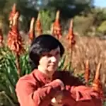 Юлия Мерцалова