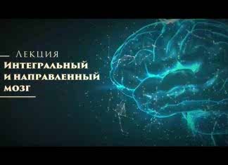 Цзе Кун. Лекция «Интегральный и направленный мозг»