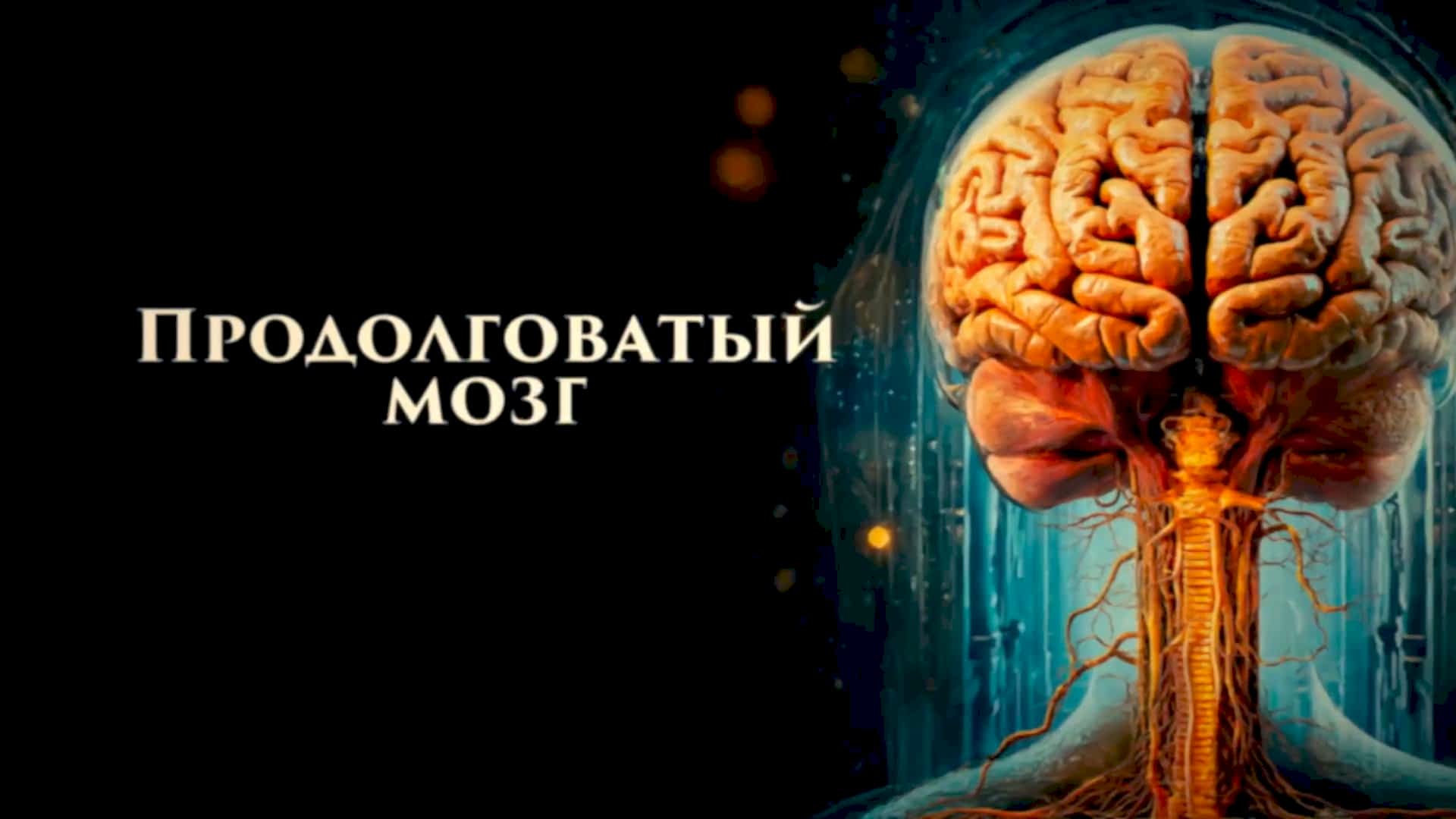 Цзе Кун. Алхимия мозга. Продолговатый мозг