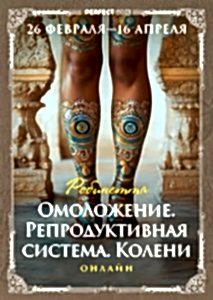 Омоложение. Репродуктивная система. Колени